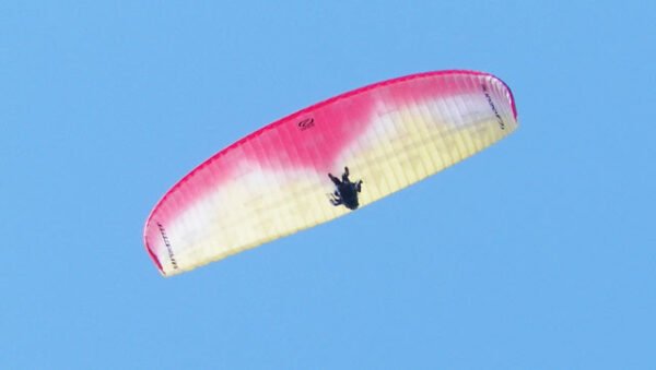 Slide exceptionaile 11.jpg